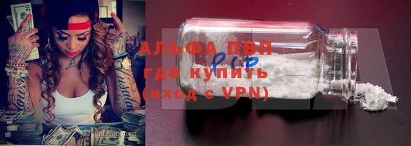 скорость Болотное