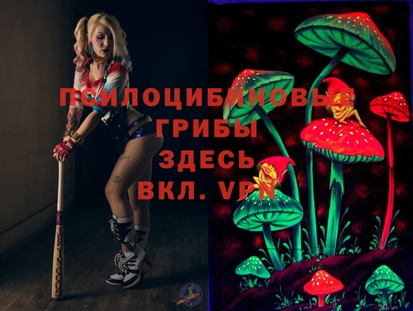 MDMA Новозыбков