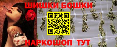 гашик Дубна