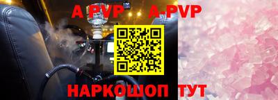 гашик Дубна