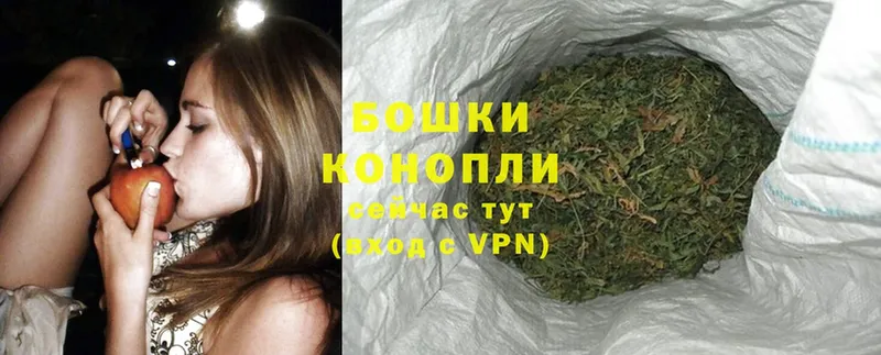 Шишки марихуана THC 21%  наркотики  Котовск 